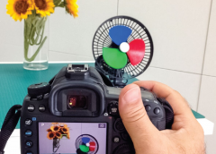 Essential Photography Courses For Professionals