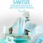 The Role of Essential Oils in a Hair Lice Treatment