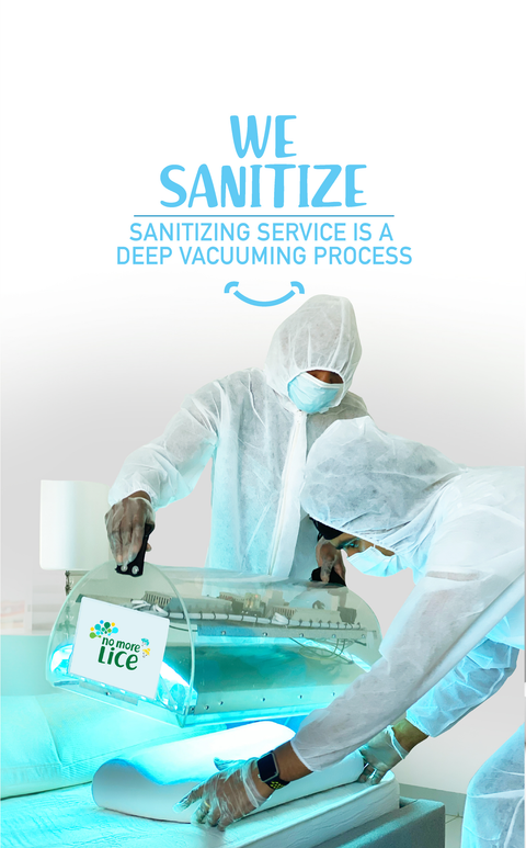 The Role of Essential Oils in a Hair Lice Treatment